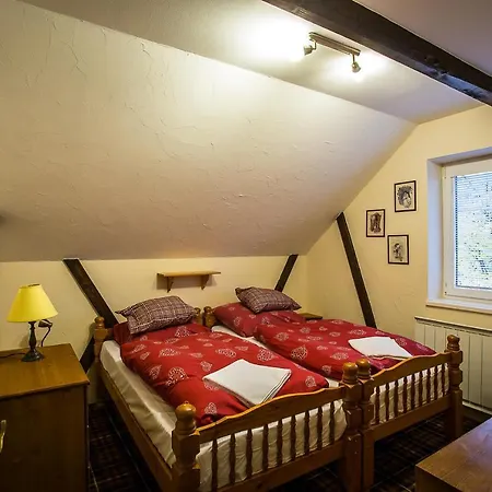 Cactus Snezienka Lodge *