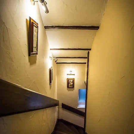 Lodge Cactus Snezienka Regetovka