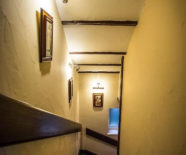 Lodge Cactus Snezienka Regetovka